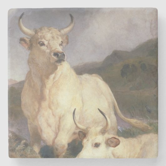 Wilde Rundvee van Chillingham (Koe) Stenen Onderzetter (Voorkant)