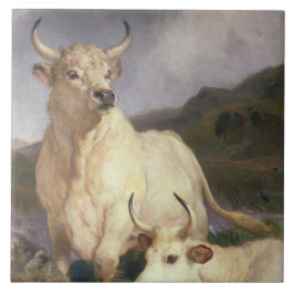 Wilde Rundvee van Chillingham (Koe) Tegeltje