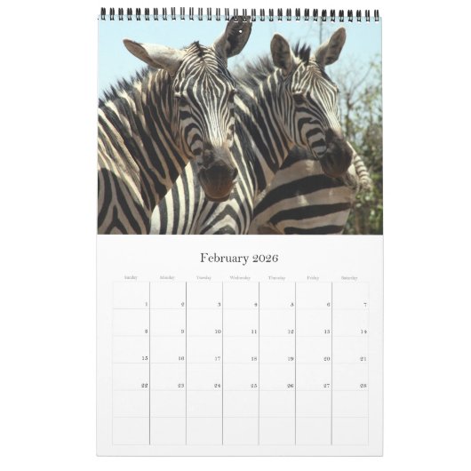 wilde safari kalender (Feb 2026)