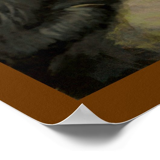 Wilde Schilderen Canadese Natuur Prints Zalm (Hoek)