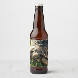 Wilde schildpad in Grass Meadow Wildlife Art Bier Etiket