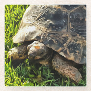 Wilde schildpad in Grass Meadow Wildlife Art Glazen Onderzetter