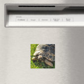 Wilde schildpad in Grass Meadow Wildlife Art Magneet (Insitu (Vaatwasser))