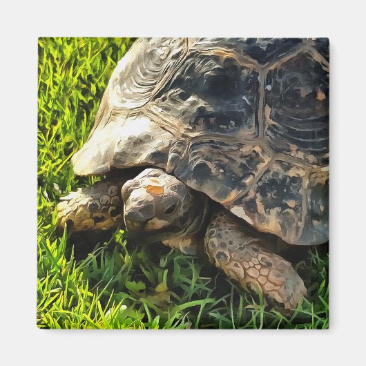 Wilde schildpad in Grass Meadow Wildlife Art Magneet (Voorkant)