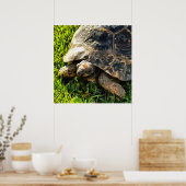 Wilde schildpad in Grass Meadow Wildlife Art Poster (Keuken)