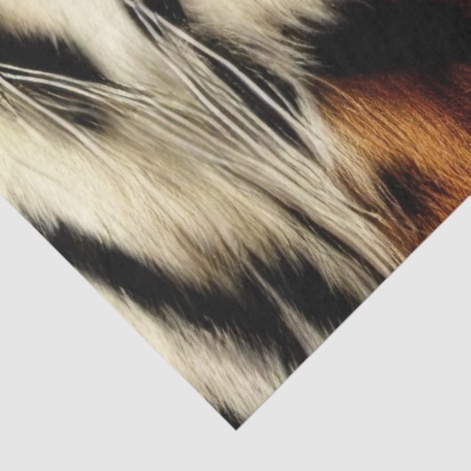 Wilde Sinaasappel- en witte tijgerstrepen Tissuepapier (Detail)