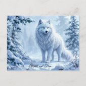 Wilde sneeuwwolf roofdier natuur winterkunst briefkaart (Voorkant)