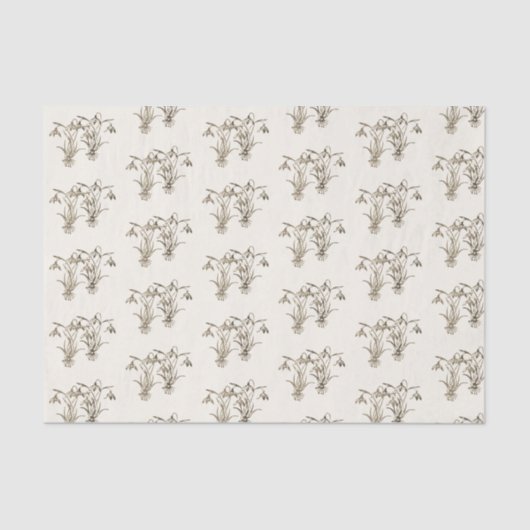  Wilde Snowdrop Illustratie op ivoor Tissuepapier (Voorkant)