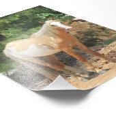 Wilde Spaans Mustang Print Foto Afdruk (Hoek)