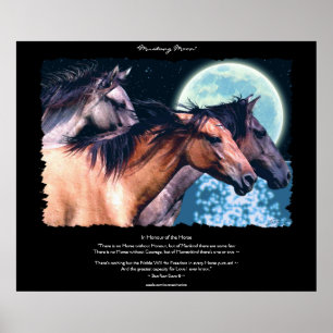 Wilde Spaanse Mustang Horses Art & Poem Poster