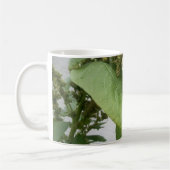 Wilde Spinach Classic White Mok (Links)