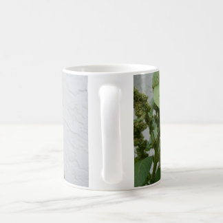 Wilde Spinach Classic White Mok