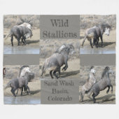 Wilde Stallianties van zand wasbekken Fleece Deken (Voorkant (Horizontaal))