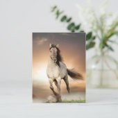 Wilde Stallion op zonsondergang Briefkaart (Staand voorkant)
