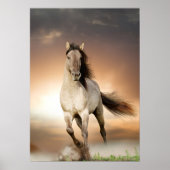 Wilde Stallion op zonsondergang Poster (Voorkant)