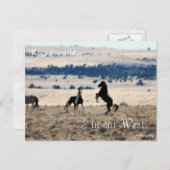 Wilde Stallionen, voorbestemd: Sec of the Interior Briefkaart (Voorkant / Achterkant)