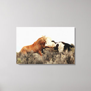 Wilde Stallions in de strijd Canvas Afdruk