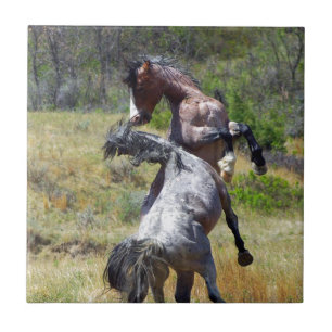 Wilde Stallions tegen Theodore Roosevelt NP Tegeltje
