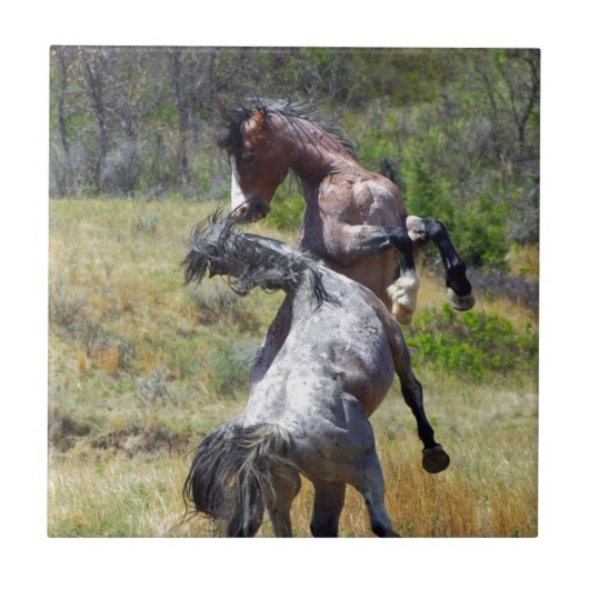 Wilde Stallions tegen Theodore Roosevelt NP Tegeltje (Voorkant)