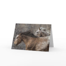 Wilde stammen: Wenskaart voor vrijheid