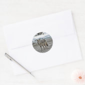 Wilde stickers (Envelop)