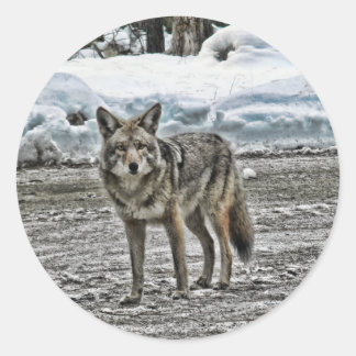 Wilde stickers