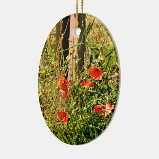 WILDE STROMEN KERAMISCH ORNAMENT (Links)