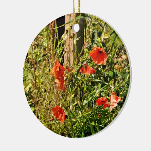 WILDE STROMEN KERAMISCH ORNAMENT (Links)