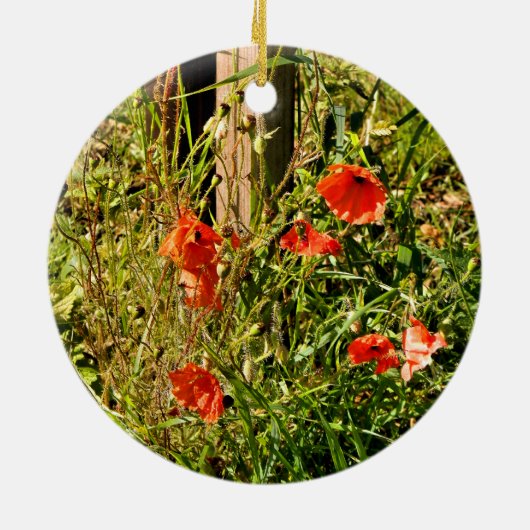 WILDE STROMEN KERAMISCH ORNAMENT (Achterkant)