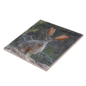 Wilde tegels, keramische tegels, konijnen, jackkon tegeltje (Zijkant)