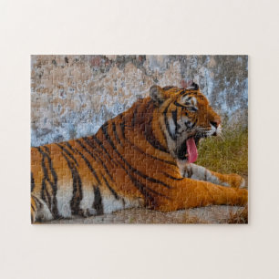 Wilde Tijgers Pakistan. Legpuzzel