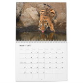 Wilde tijgers van de Indiase kalender (Mar 2027)