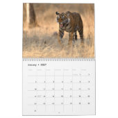 Wilde tijgers van de Indiase kalender (Jan 2027)