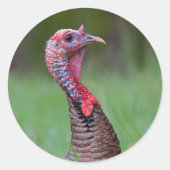 Wilde Tom Ronde Sticker (Voorkant)