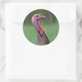 Wilde Tom Ronde Sticker (Tas)