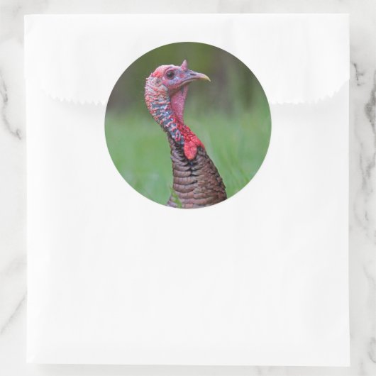 Wilde Tom Ronde Sticker (Tas)