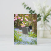 Wilde tranquiliteit, mooie kerkhof. Hopwas UK Briefkaart (Staand voorkant)