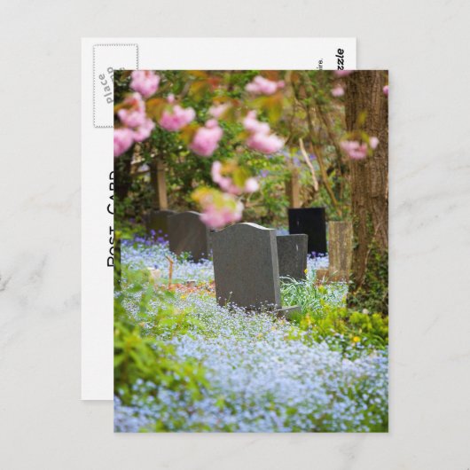 Wilde tranquiliteit, mooie kerkhof. Hopwas UK Briefkaart (Voorkant / Achterkant)