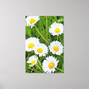 Wilde Tuinbloemen Roemenië – Natuurfotografie Canvas Afdruk