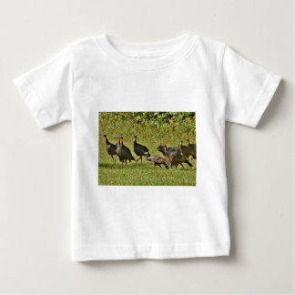 Wilde Turkije, Camouflage-kleuren
