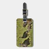 Wilde Turkije, Camouflage-kleuren Bagagelabel (Voorkant verticaal)