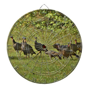 Wilde Turkije, Camouflage-kleuren Dartbord