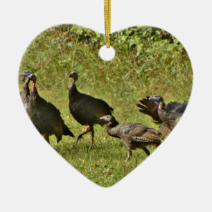 Wilde Turkije, Camouflage-kleuren Keramisch Ornament