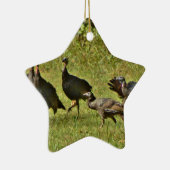 Wilde Turkije, Camouflage-kleuren Keramisch Ornament (Rechts)