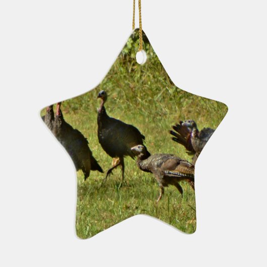 Wilde Turkije, Camouflage-kleuren Keramisch Ornament (Rechts)