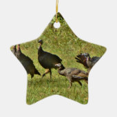 Wilde Turkije, Camouflage-kleuren Keramisch Ornament (Voorkant)