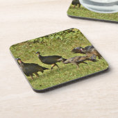 Wilde Turkije, Camouflage-kleuren Onderzetter (Linkerzijde)