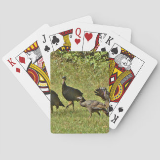 Wilde Turkije, Camouflage-kleuren Pokerkaarten