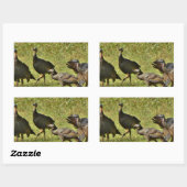 Wilde Turkije, Camouflage-kleuren Rechthoekige Sticker (Vel)