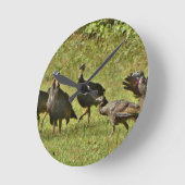 Wilde Turkije, Camouflage-kleuren Ronde Klok (Hoek)